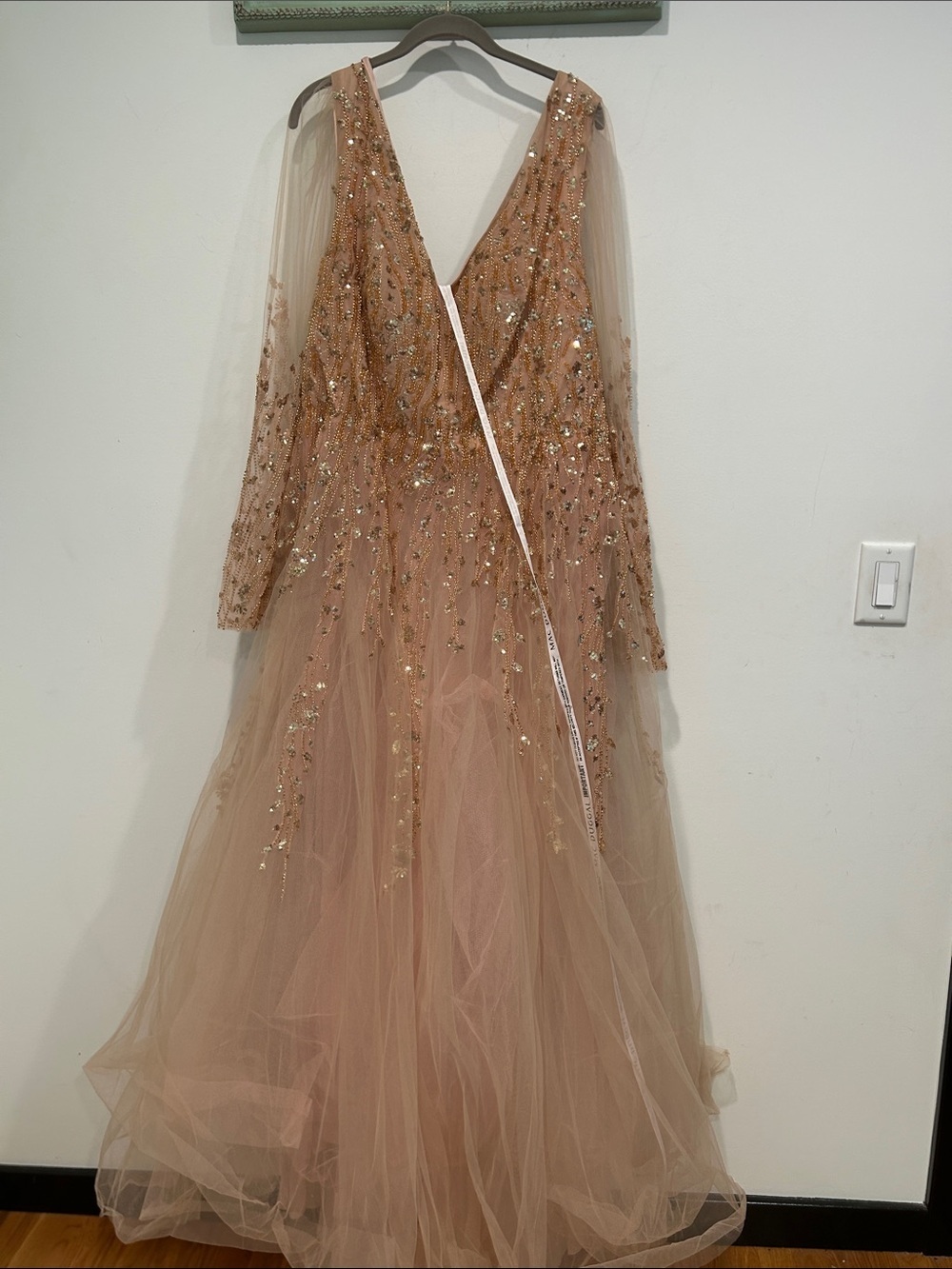 Mac Duggal Blush Champagne Embellished v neck Tulle Maxi Gown plus size 24 new - Picture 2 of 14